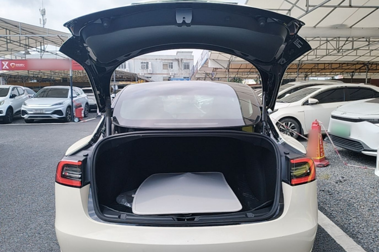 Tesla Model 3 2021 #19 Tesla Model 3 2021 car image #19