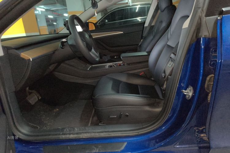 Tesla Model 3 2021 car image #17