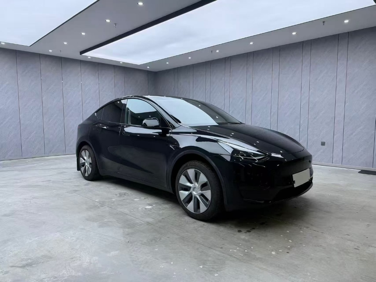 Tesla Model Y 2023 Tesla Model Y 2023 car image