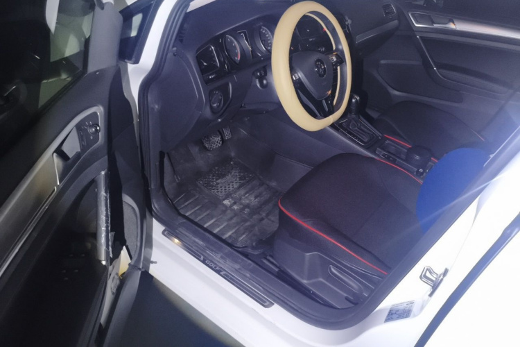 Volkswagen Golf 2019 #9 Volkswagen Golf 2019 car image #9