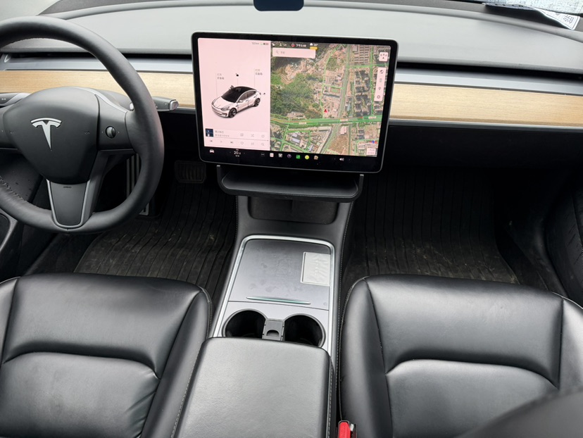 Tesla Model 3 2021 car image #6