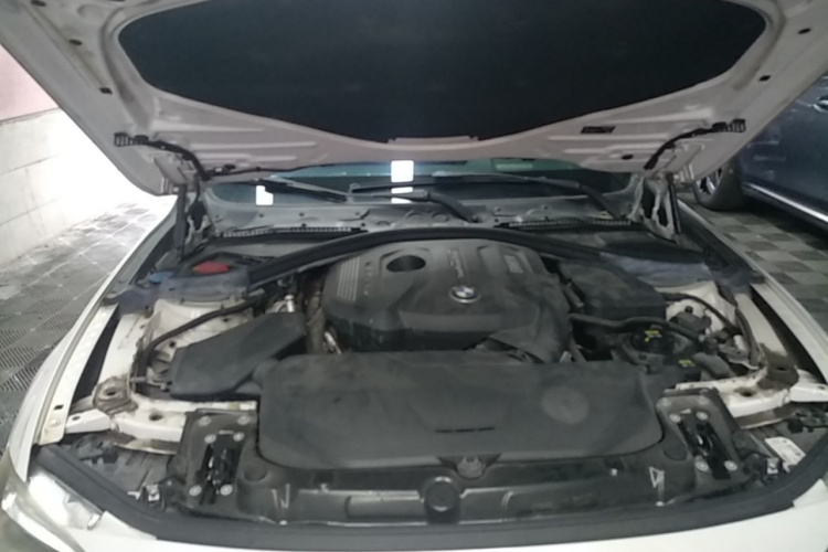 BMW 3 Series 2018 #22 BMW 3 Series 2018 immagine di auto #22