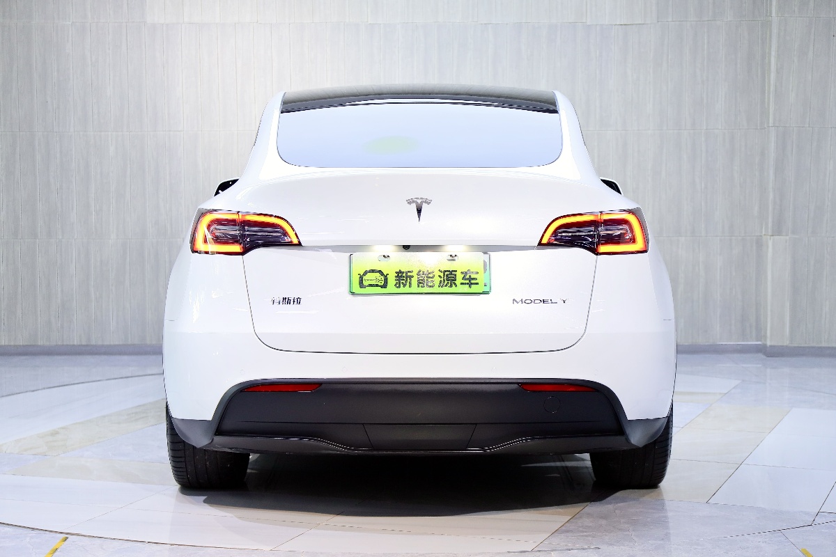 Tesla Model Y 2021 #4 Tesla Model Y 2021 изображение автомобиля #4