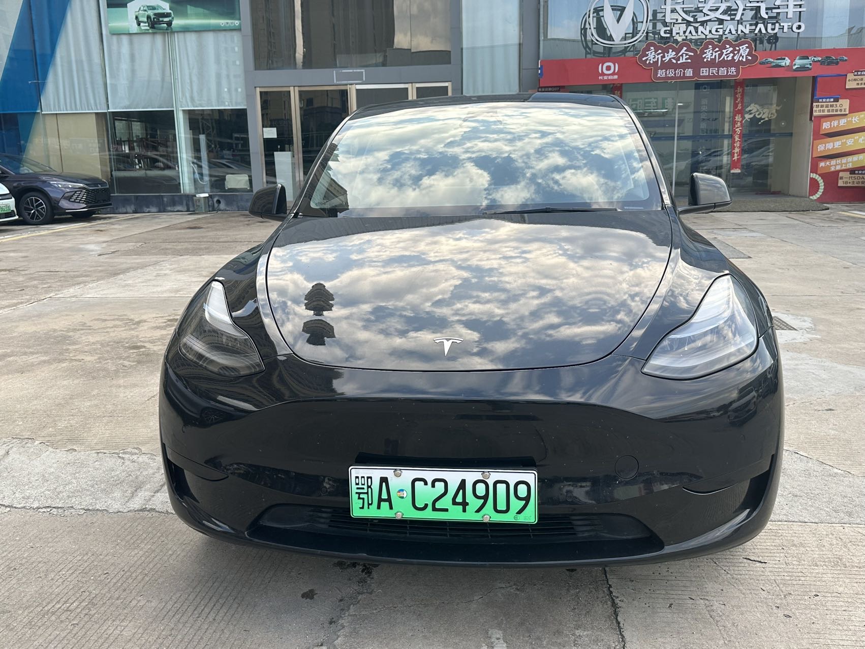 Tesla Model Y 2023 #4 Tesla Model Y 2023 car image #4