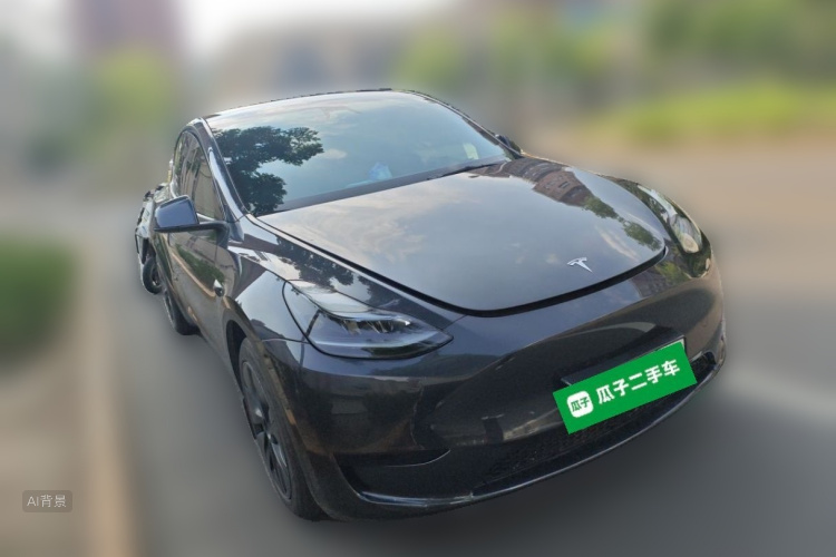 Tesla Model Y 2024 car image #4