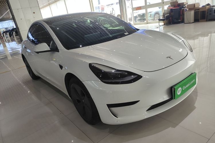 Tesla Model 3 2021 #4 Tesla Model 3 2021 immagine di auto #4