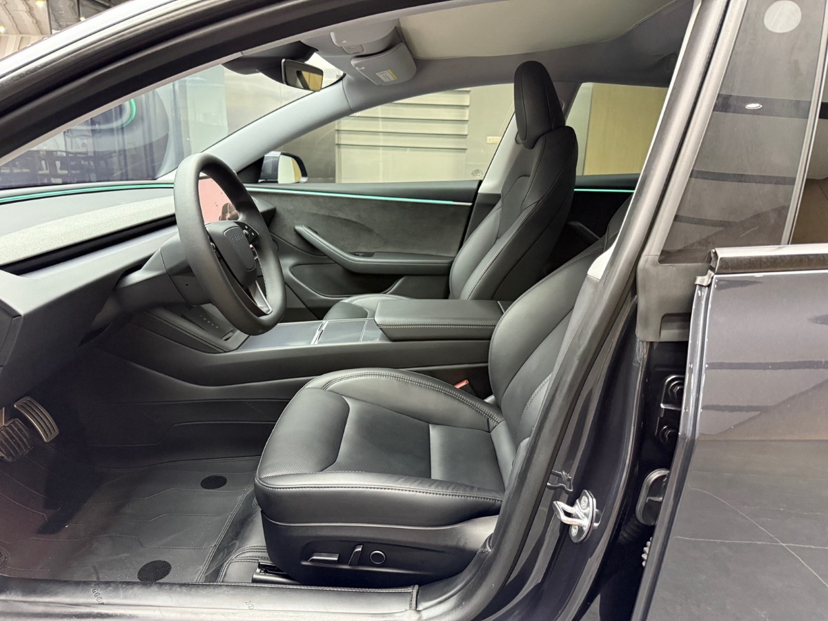 Tesla Model 3 2024 car image #5