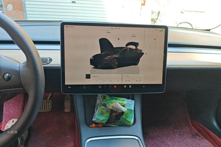 Tesla Model 3 2023 car image #15