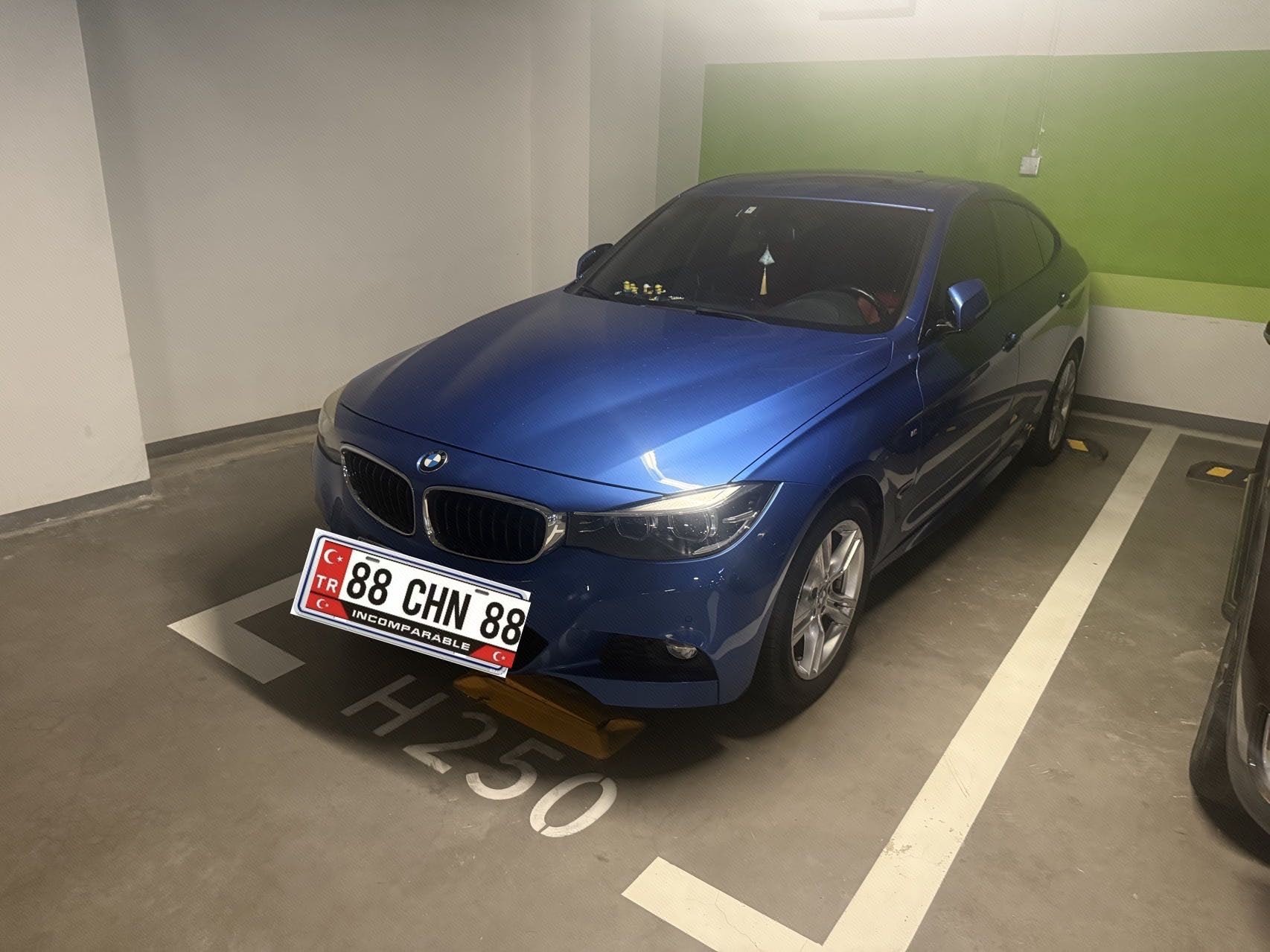BMW 3 Series GT 2018 car image 