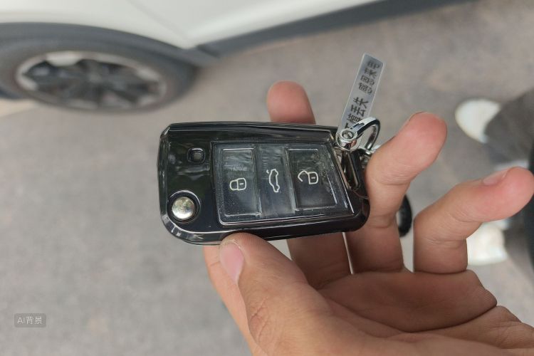 大众 探影 2023 汽车图片 #10