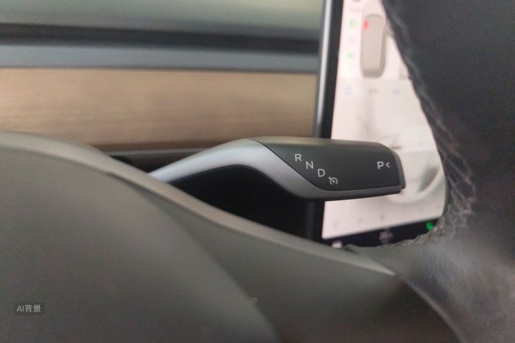 Tesla Model 3 2022 car image #16