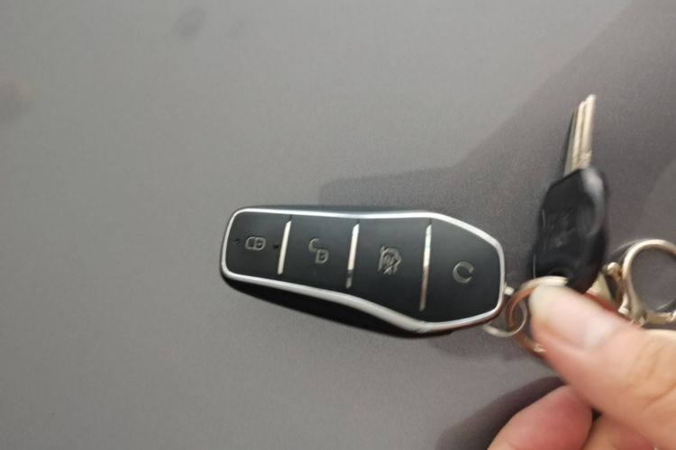 BYD Han 2022 #14 BYD Han 2022 immagine di auto #14