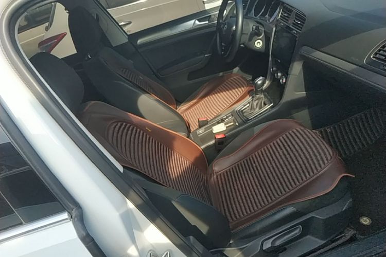 Volkswagen Golf 2019 car image #24