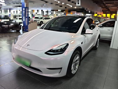 Tesla Model Y 2023 Tesla Model Y 2023 car image