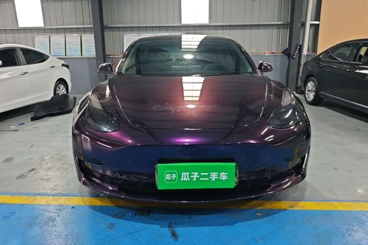 Tesla Model 3 2021 #3 Tesla Model 3 2021 car image #3