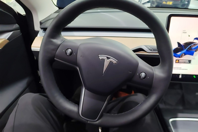 Tesla Model 3 2022 immagine di auto #11