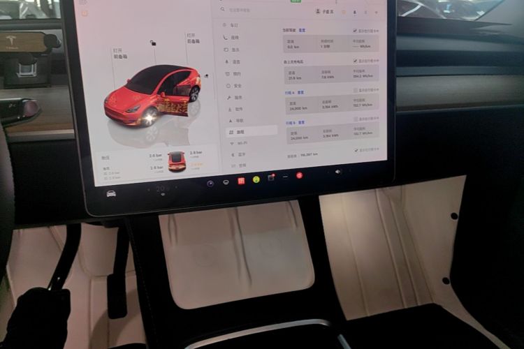 Tesla Model Y 2023 car image #13