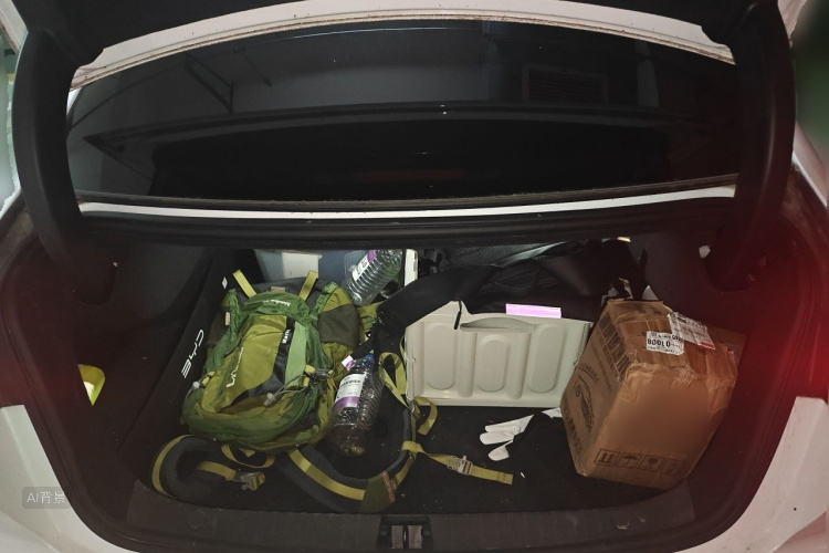 BYD Han 2020 car image #21