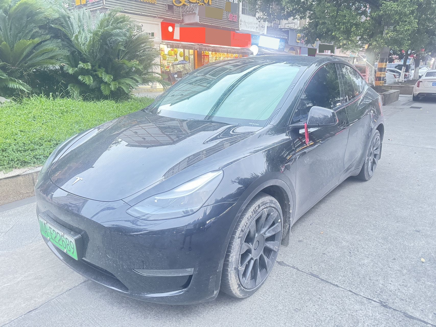 Tesla Model Y 2023 Tesla Model Y 2023 car image