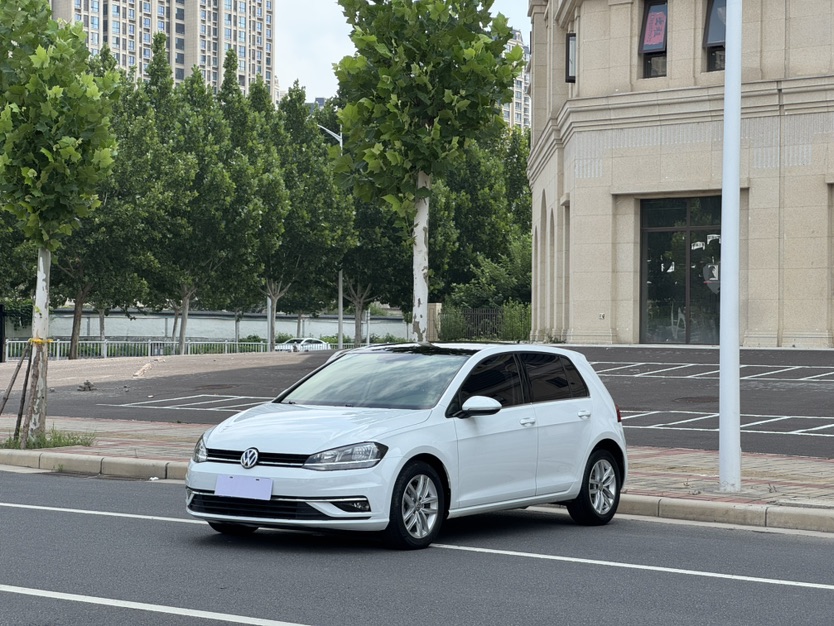 Volkswagen Golf 2019 Volkswagen Golf 2019 car image