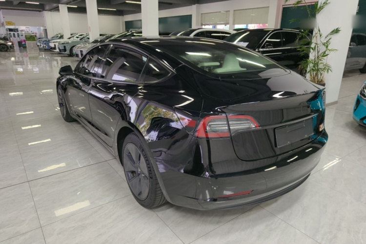 Tesla Model 3 2021 #5 Tesla Model 3 2021 car image #5