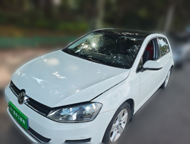 Volkswagen Golf 2016 Volkswagen Golf 2016 car image