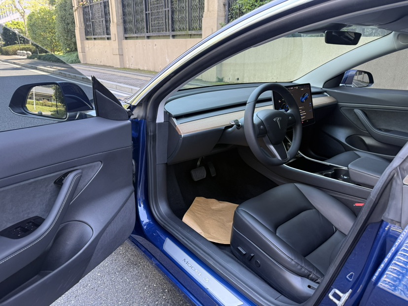 Tesla Model 3 2020 #7 Tesla Model 3 2020 car image #7