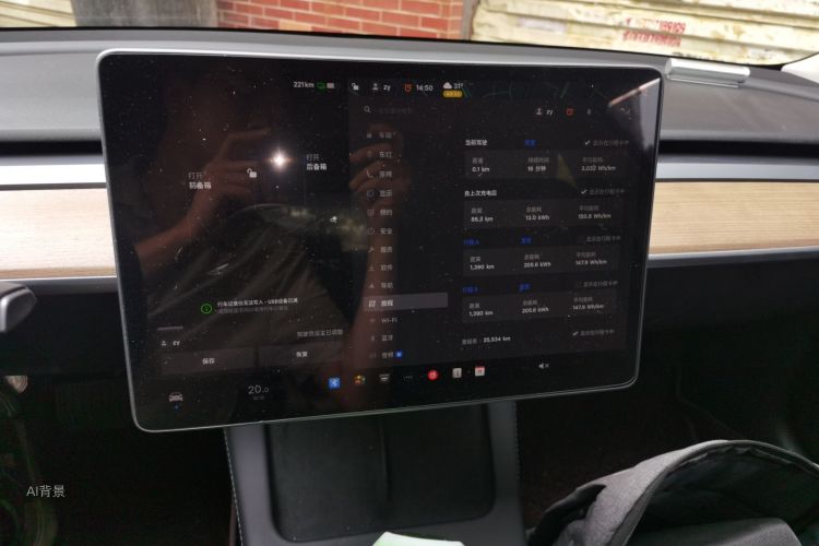 Tesla Model 3 2022 car image #13