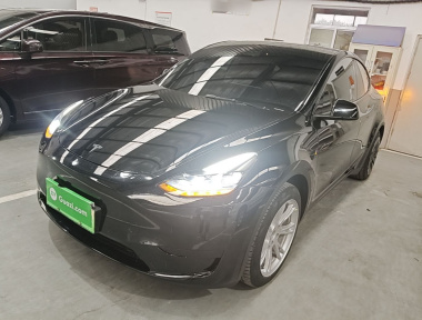 Tesla Model Y 2023 car image 