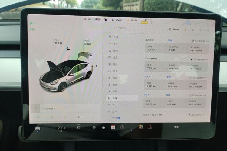 Tesla Model 3 2021 #16 Tesla Model 3 2021 immagine di auto #16