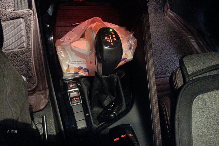 BMW X1 2018 car image #16