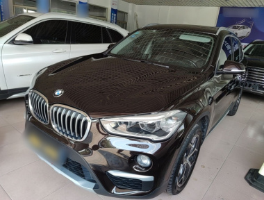 BMW X1 2019 car image 