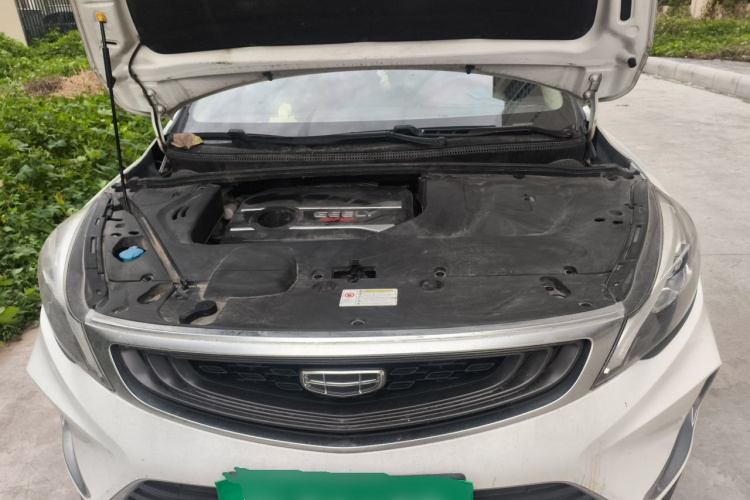 GEELY Emgrand GS 2019 #18 GEELY Emgrand GS 2019 car image #18