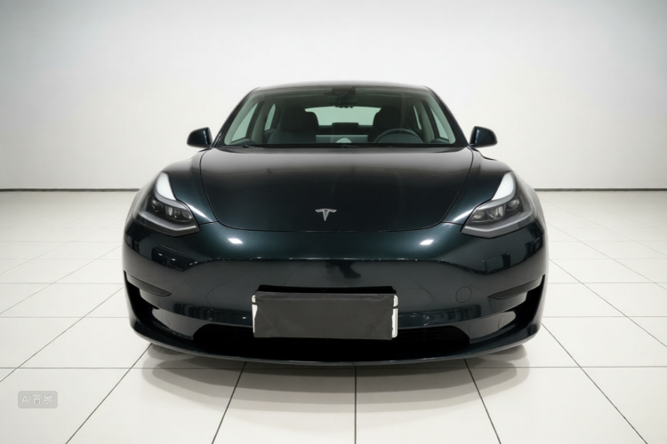 Tesla Model 3 2021 car image #3