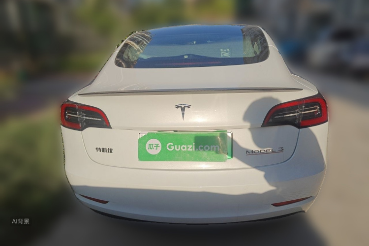 Tesla Model 3 2022 car image #6