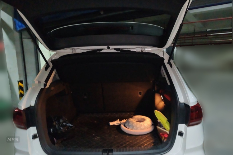 Volkswagen Tharu 2019 car image #21