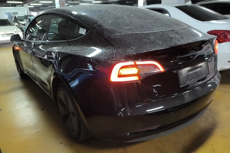 Tesla Model 3 2023 immagine di auto #5