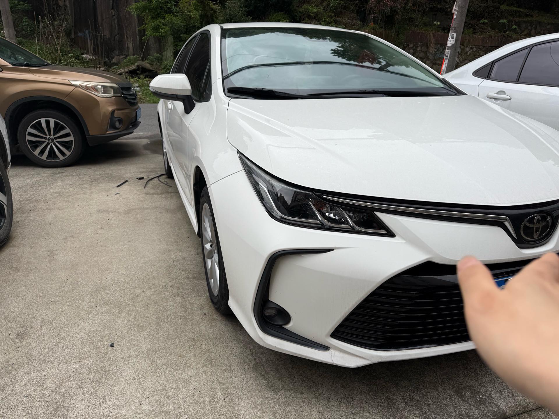 丰田 卡罗拉 2021 汽车图片 #3