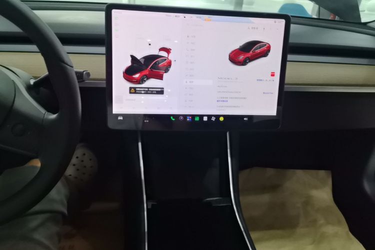 Tesla Model 3 2020 car image #17
