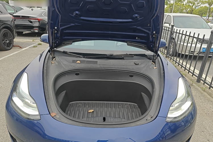 Tesla Model 3 2021 car image #20
