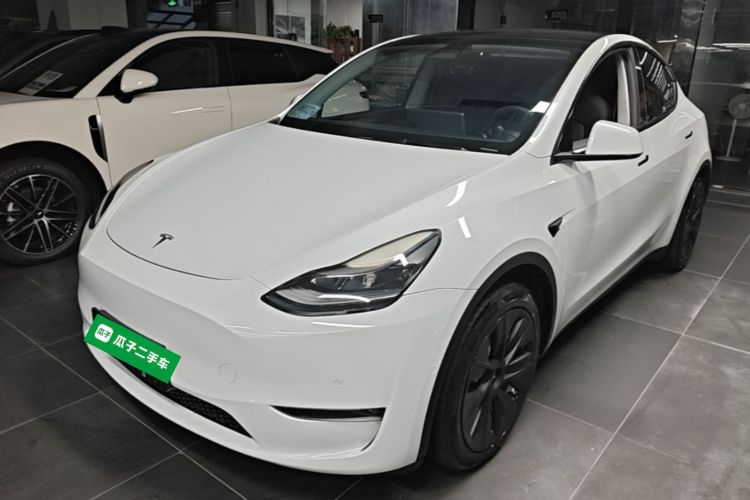Tesla Model Y 2021 #2 Tesla Model Y 2021 car image #2