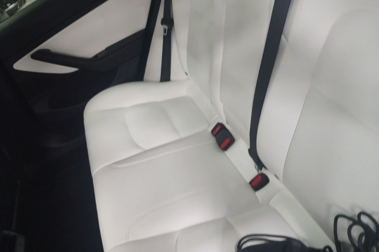 Tesla Model 3 2020 #17 Tesla Model 3 2020 car image #17