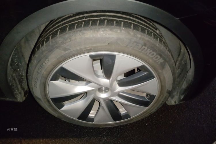 Tesla Model Y 2021 car image #9