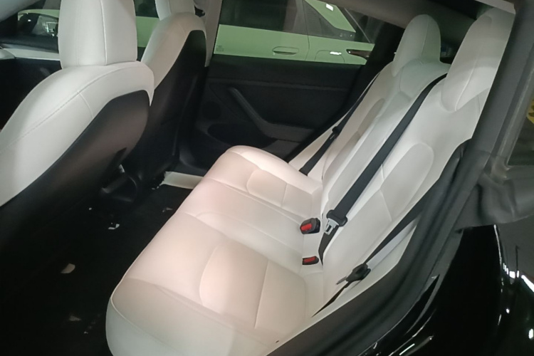 Tesla Model 3 2023 car image #17
