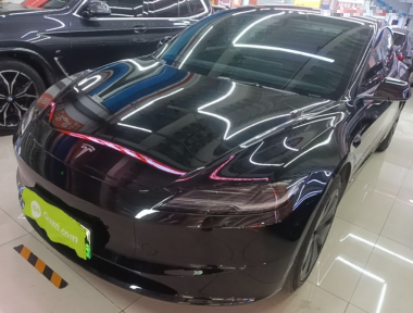 Tesla Model 3 2024 Tesla Model 3 2024 car image
