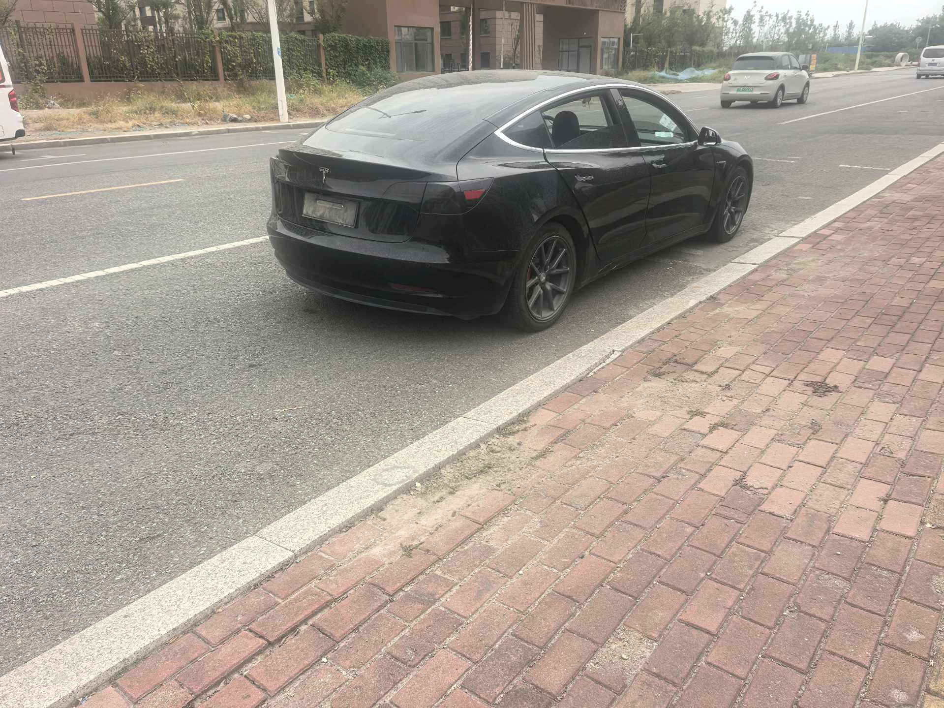 Tesla Model 3 2020 car image #5