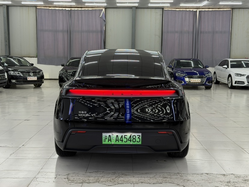 Tesla Model Y 2025 car image #7