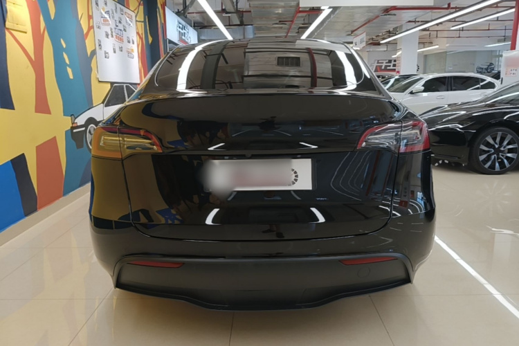 Tesla Model Y 2021 #6 Tesla Model Y 2021 car image #6