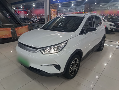 BYD Yuan Pro 2022 car image 