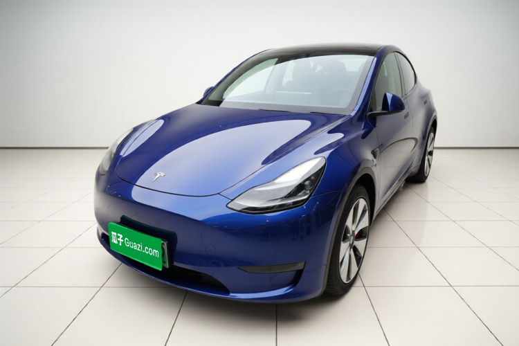 Tesla Model Y 2021 car image #2